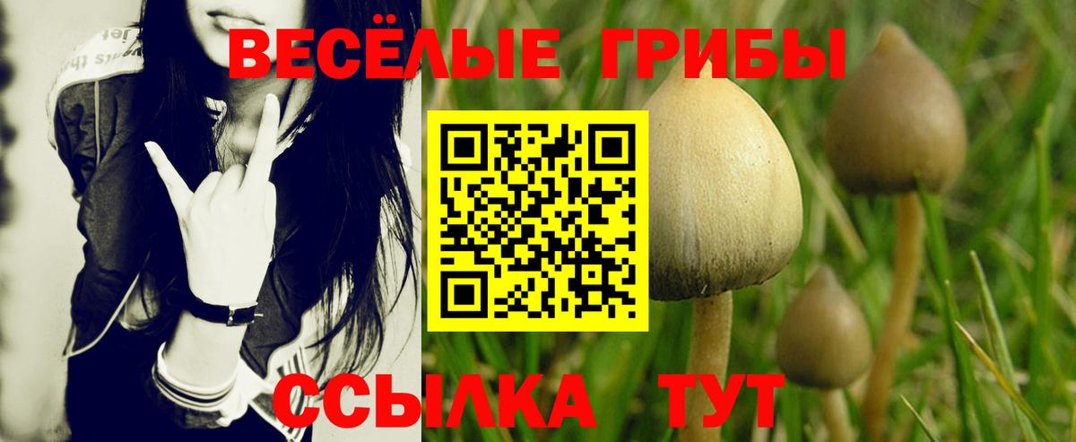 Ивантеевка  Галлюциногенные грибы Psilocybine cubensis  Вход с VPN  Псилоцибиновые грибы ЛСД 
